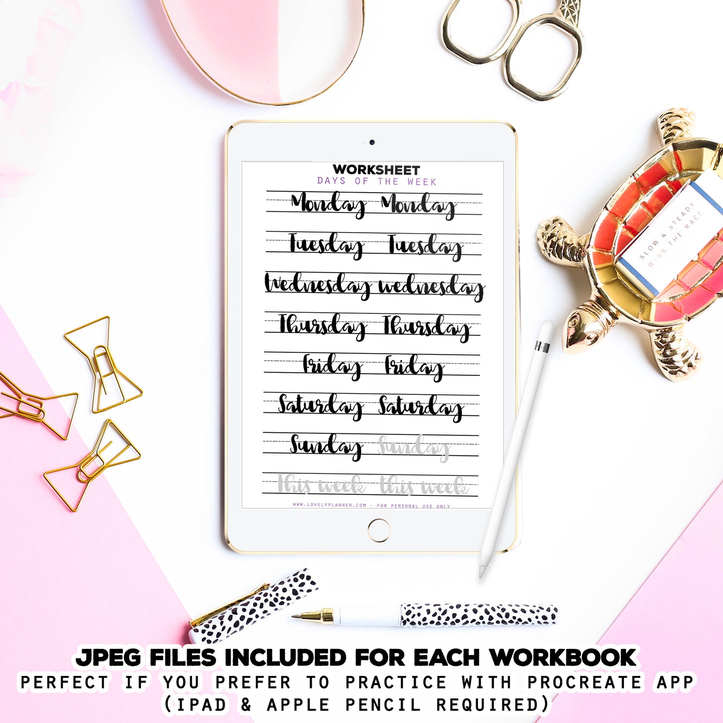 BUNDLE of 10 Lettering Workbooks with 370 Hand Lettering Practice Worksheets -Brush/Monoline for Procreate & Print, Modern Calligraphy, Ipad