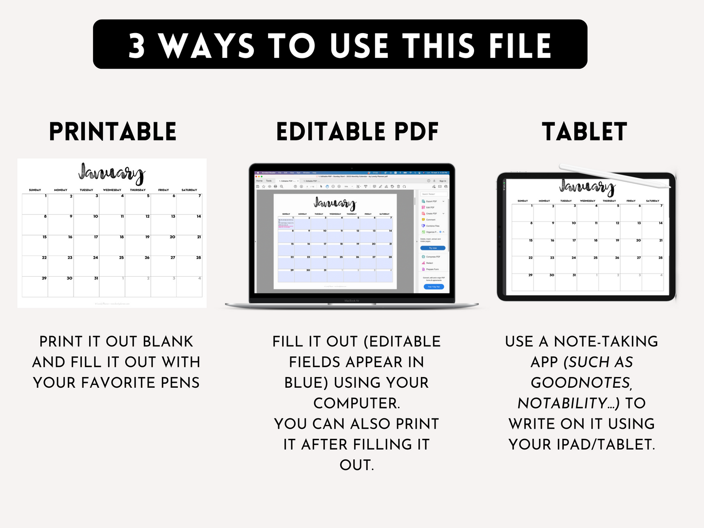 2024 Monthly Calendar - EDITABLE PDF