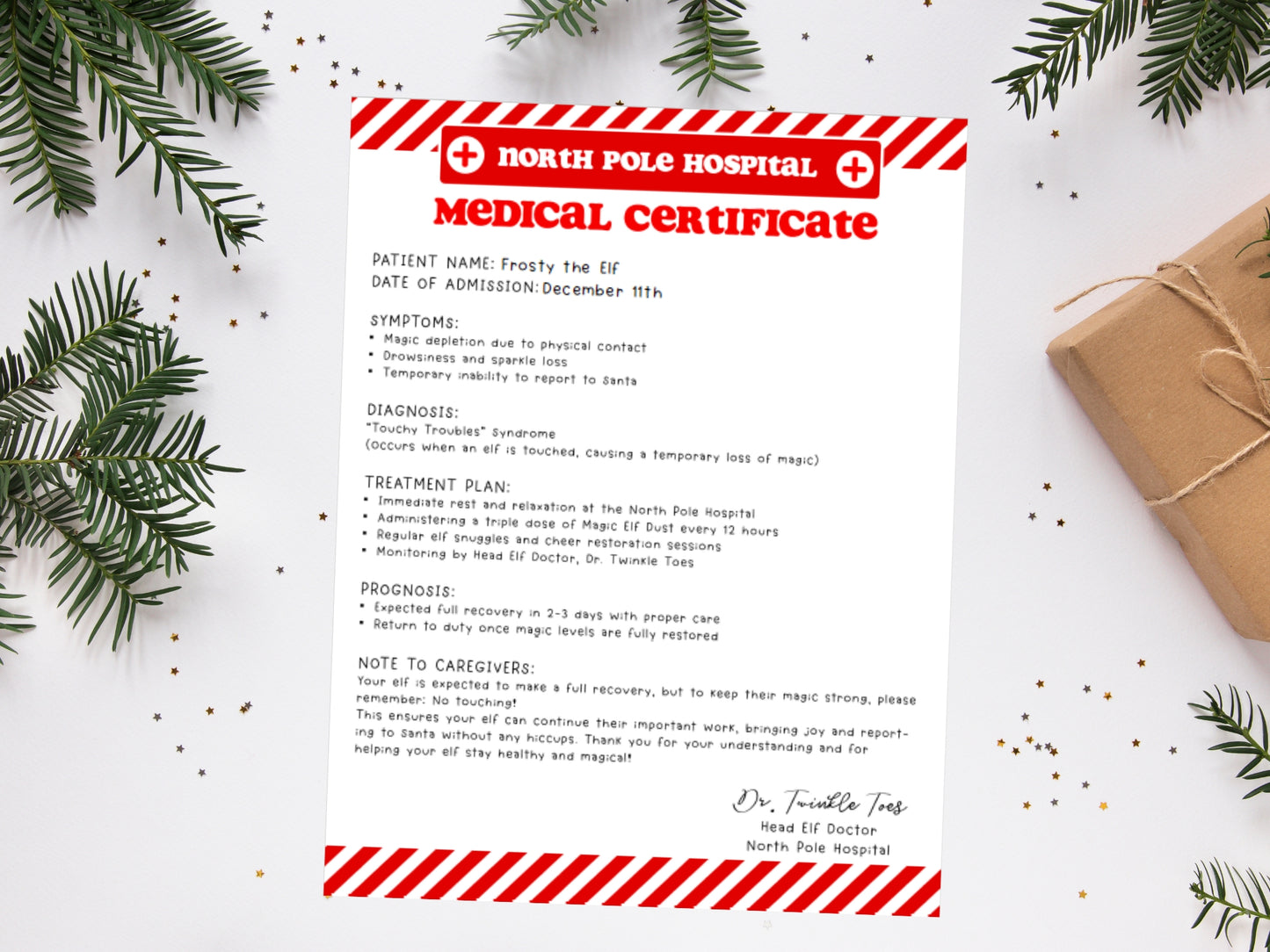 BUNDLE of 20 Elf Printable Templates: Elf Letter, Elf Adoption Certificate, Elf Report, Elf Warning, Elf Surveillance Elf Cam, Santa Letter & More!