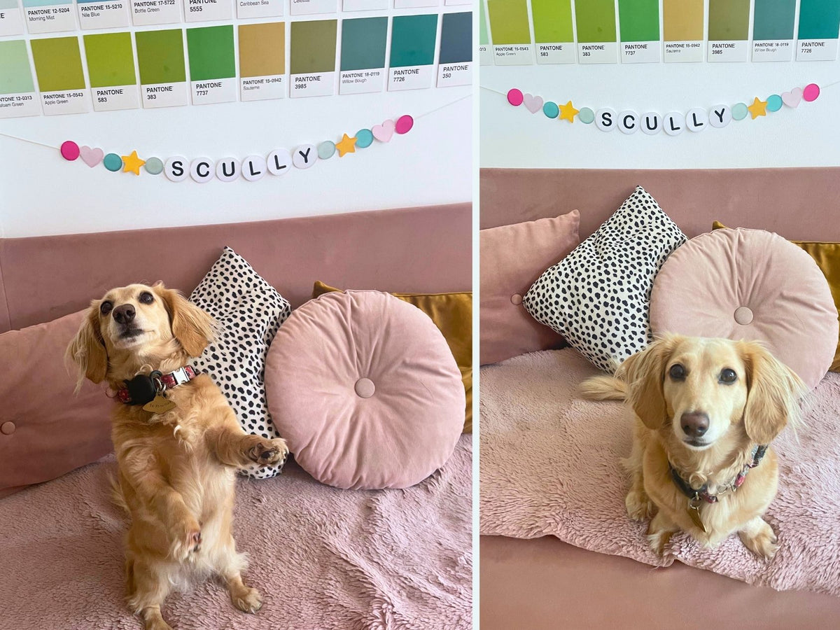 Customizable Friendship Bracelet Banner Printable (PDF + Canva Template)