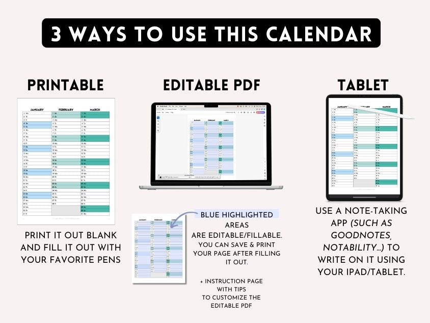 EDITABLE PDF - 2025 QUARTERLY Calendar - Rainbow