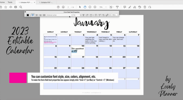 EDITABLE PDF - 2023 Monthly Calendar