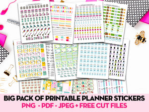 Pack of 13 Kawaii Stickers Sheets