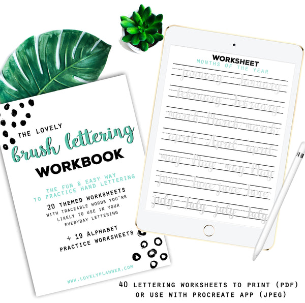 BUNDLE of 2 Lettering Workbooks with 80 Hand Lettering Practice Worksheets - Brush/Script -for Procreate & Print, Modern Calligraphy, Ipad